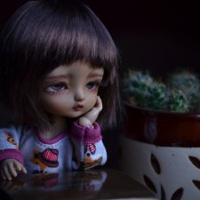 Какао, наша история изменений