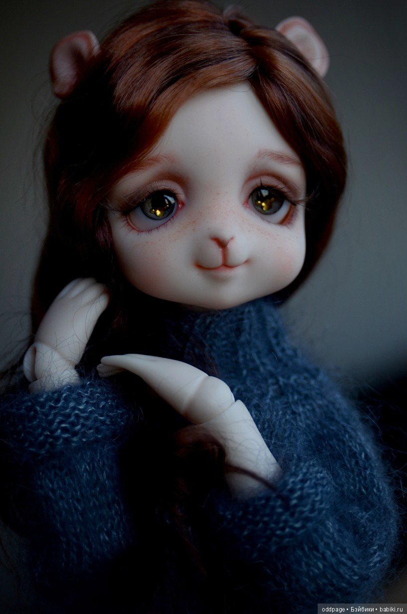 Мой бельчонок Шери пришла знакомиться