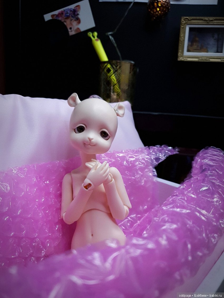 Мой бельчонок Шери пришла знакомиться (фото 2)