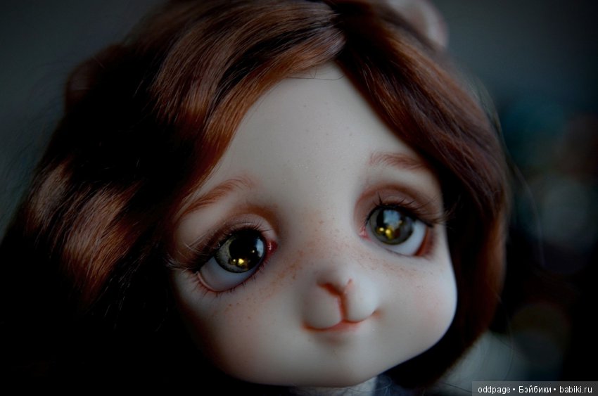 Мой бельчонок Шери пришла знакомиться (фото 8)