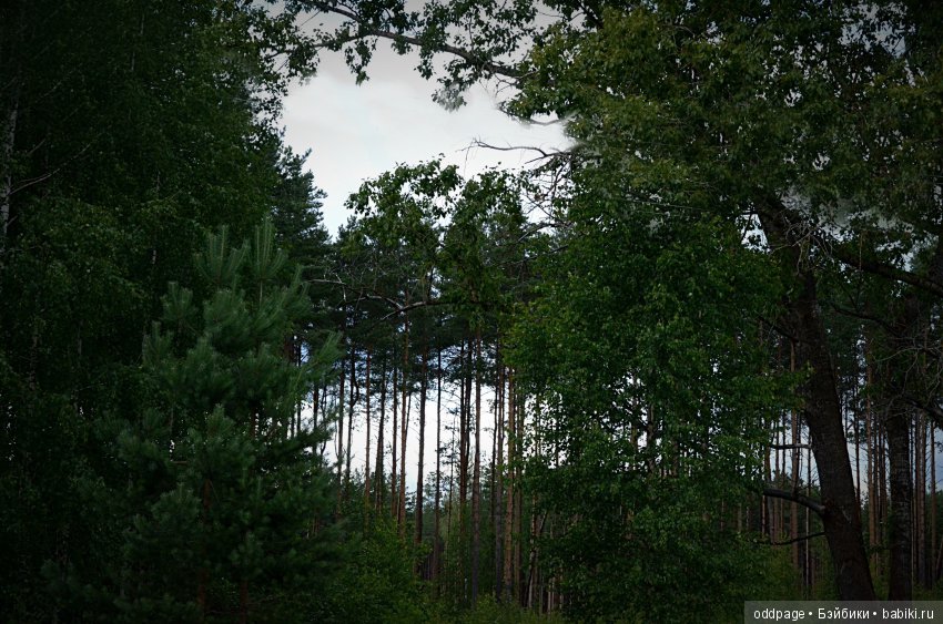 Шери - маленькая ведьмочка