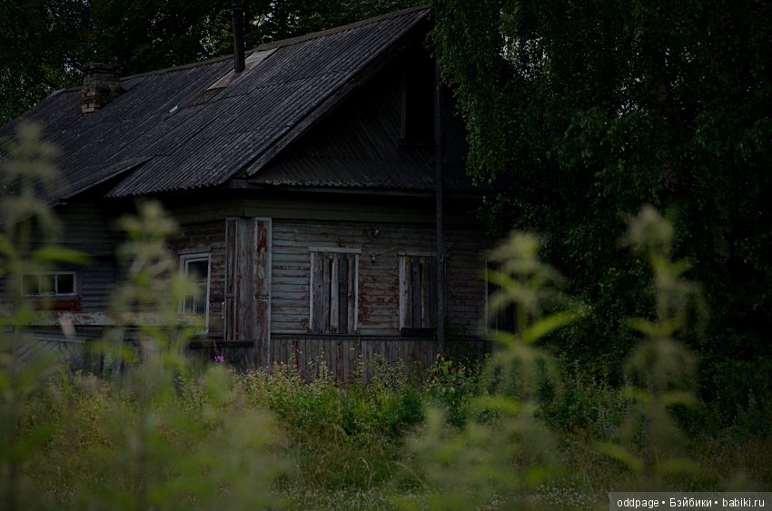 Шери - маленькая ведьмочка (фото 2)
