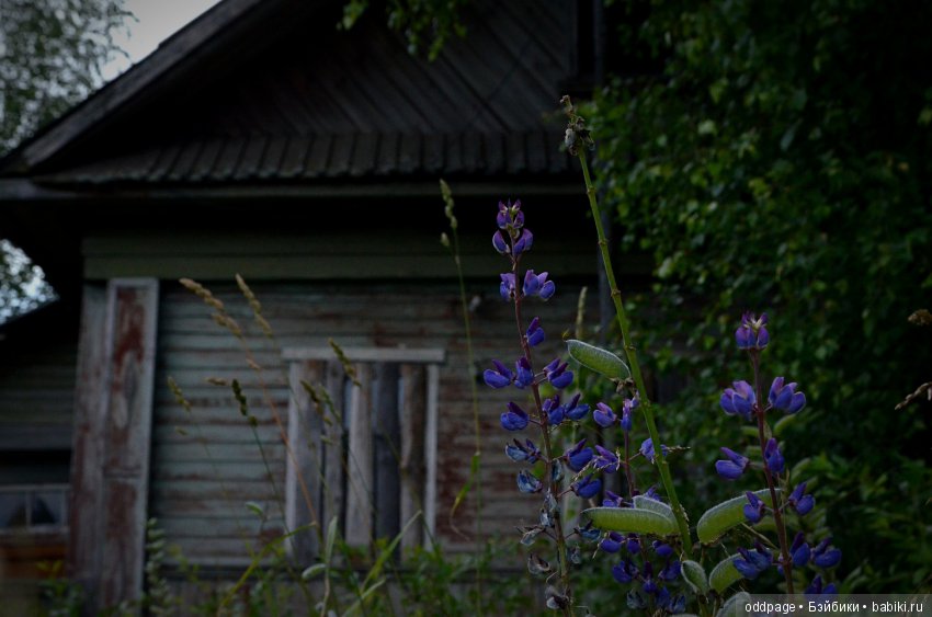 Шери - маленькая ведьмочка (фото 3)