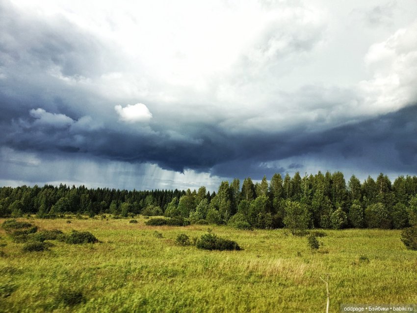 Ностальгии пост. Лето `19 с Somni от Atelier Momoni