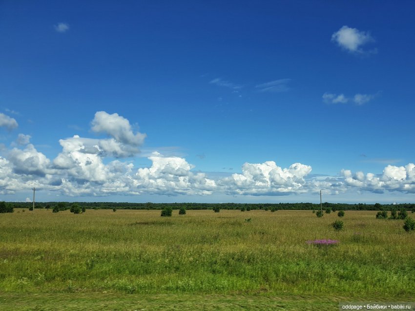 Ностальгии пост II. Лето `19. Шеричкины прогулки