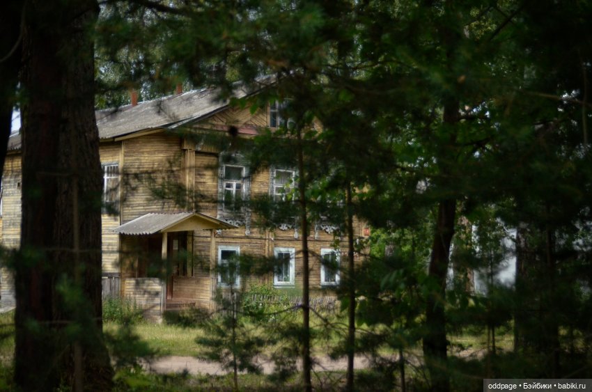 Ностальгии пост II. Лето `19. Шеричкины прогулки