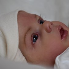 Моя ягодка Шерри