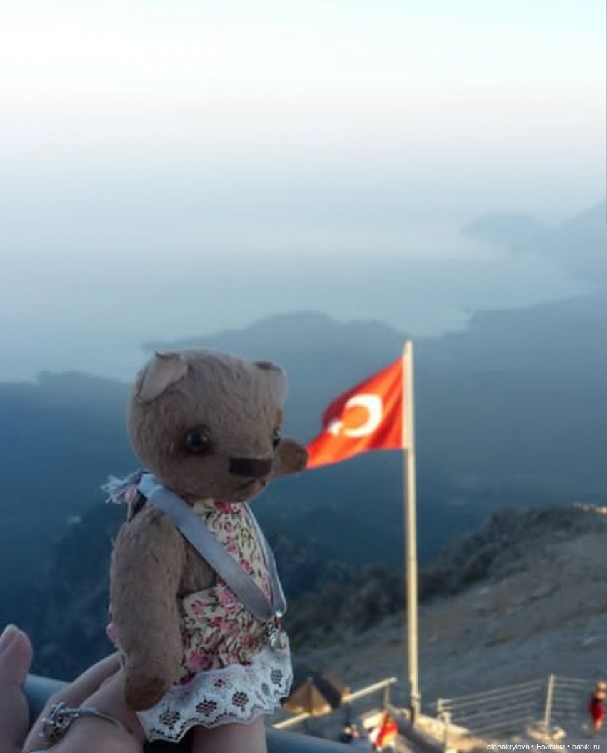 Тедди-путешественники: без билетов, без капризов (фото 4)