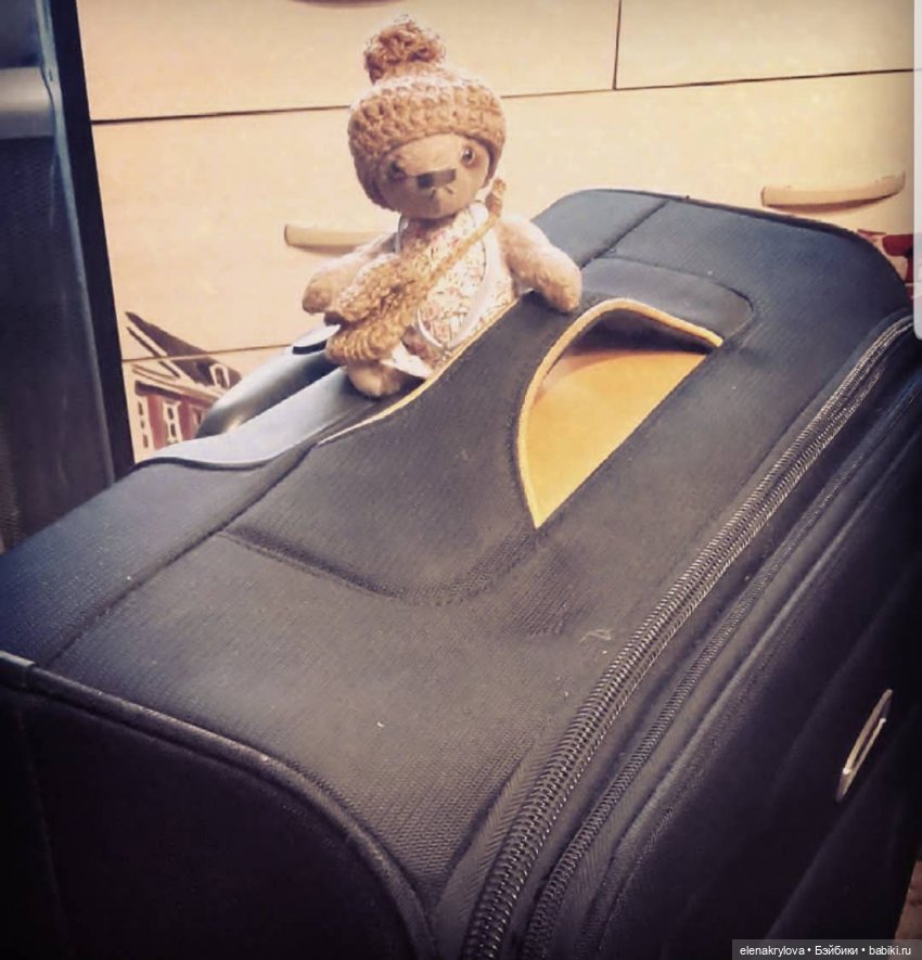 Тедди-путешественники: без билетов, без капризов