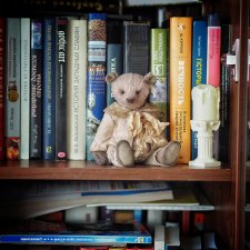 Мишки тедди в интерьере