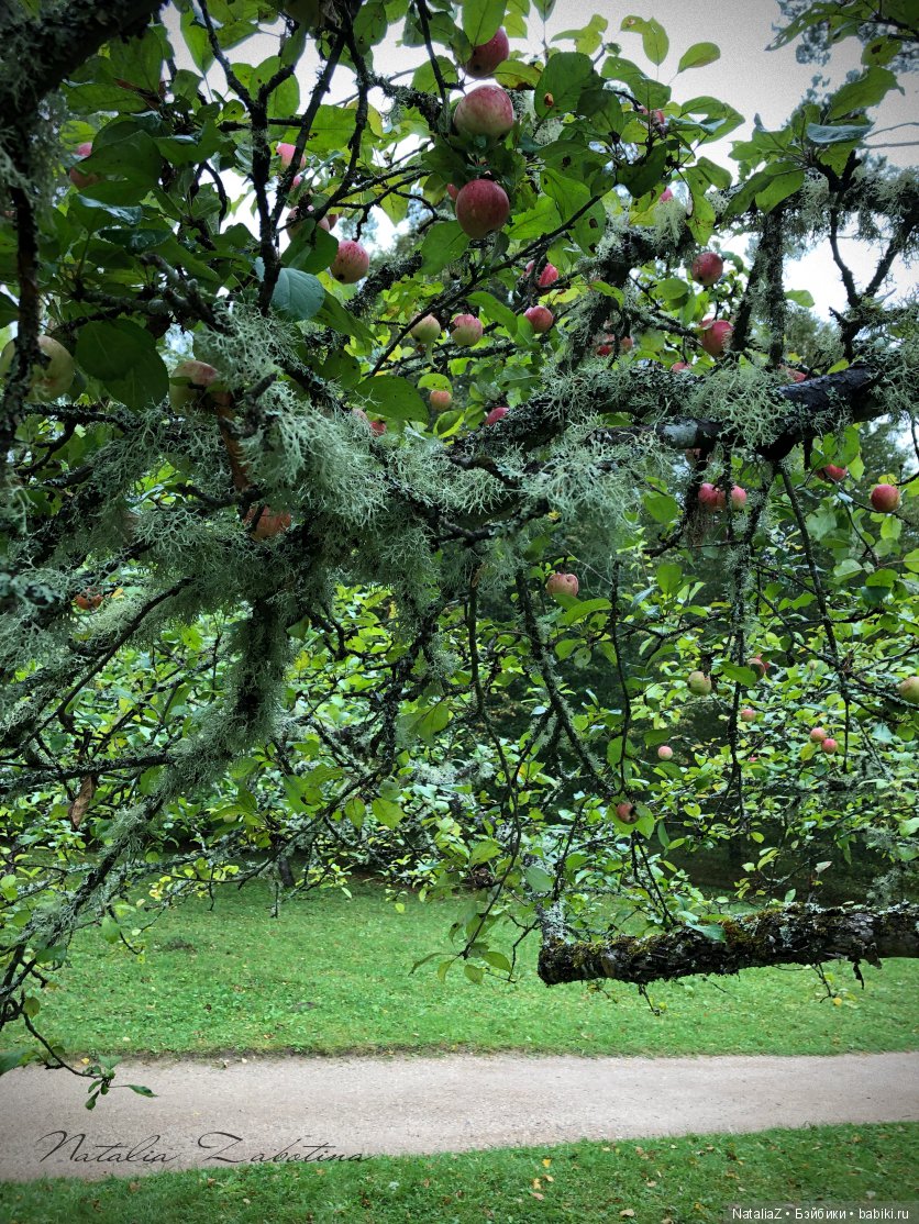 Псков. "Там, на неведомых дорожках..."