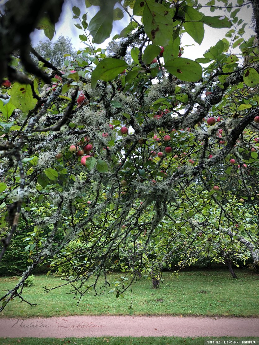 Псков. "Там, на неведомых дорожках..."