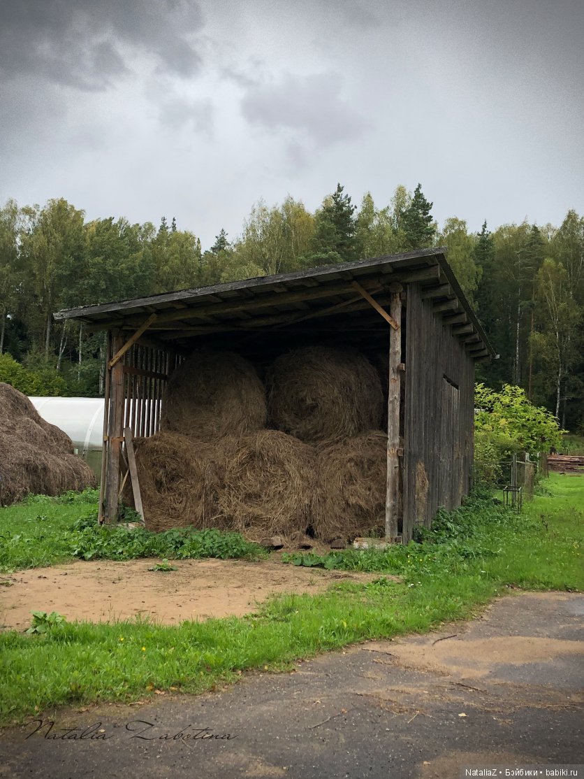 Псков. "Там, на неведомых дорожках..."
