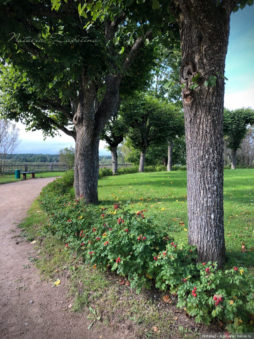 Псков. "Там, на неведомых дорожках..."