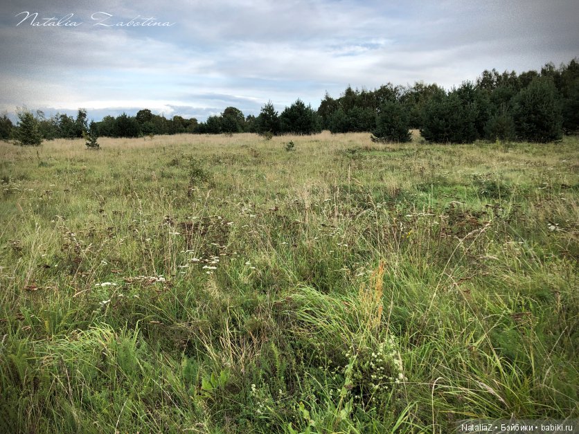 Псков. "Там, на неведомых дорожках..."