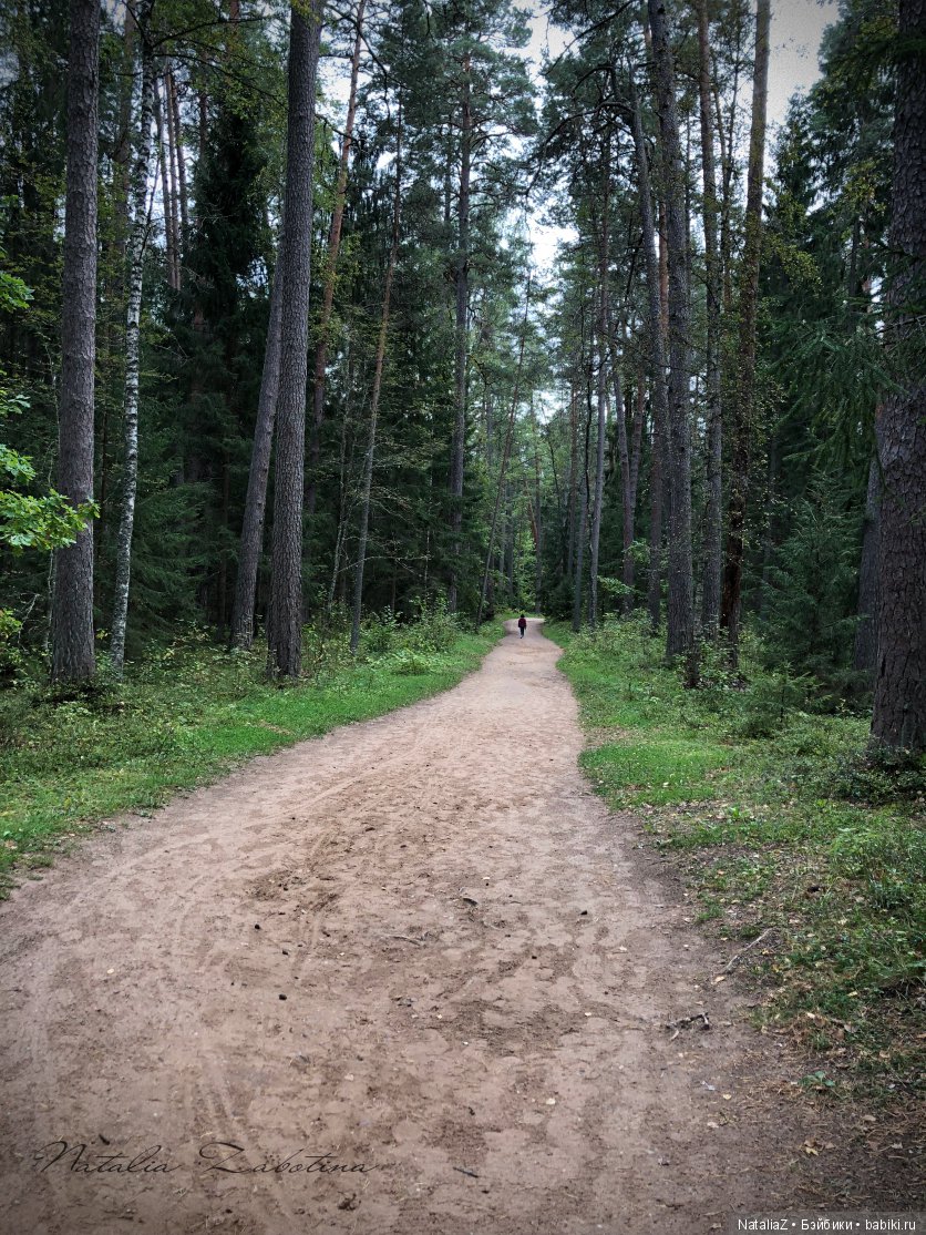 Псков. "Там, на неведомых дорожках..."