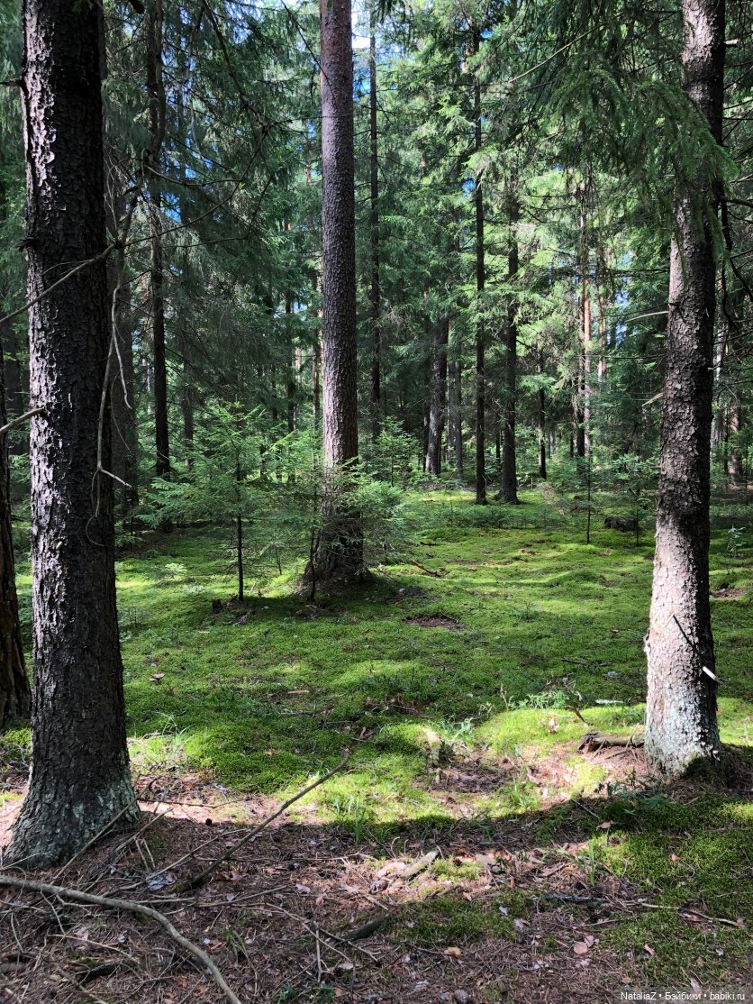 Орешек — Игровые куклы Zwergnase (Цвергназе) Junior: Джуниор