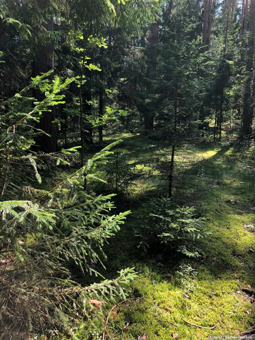 Орешек — Игровые куклы Zwergnase (Цвергназе) Junior: Джуниор (фото 10)