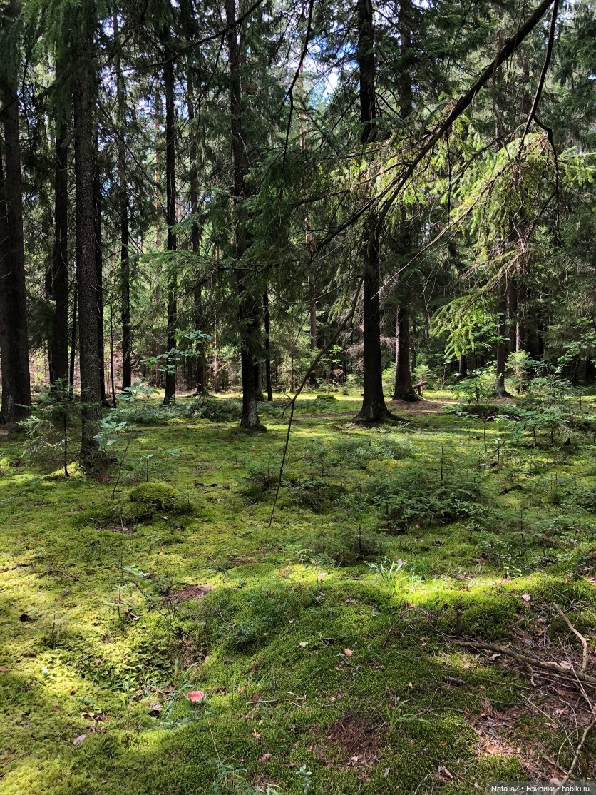 Орешек — Игровые куклы Zwergnase (Цвергназе) Junior: Джуниор