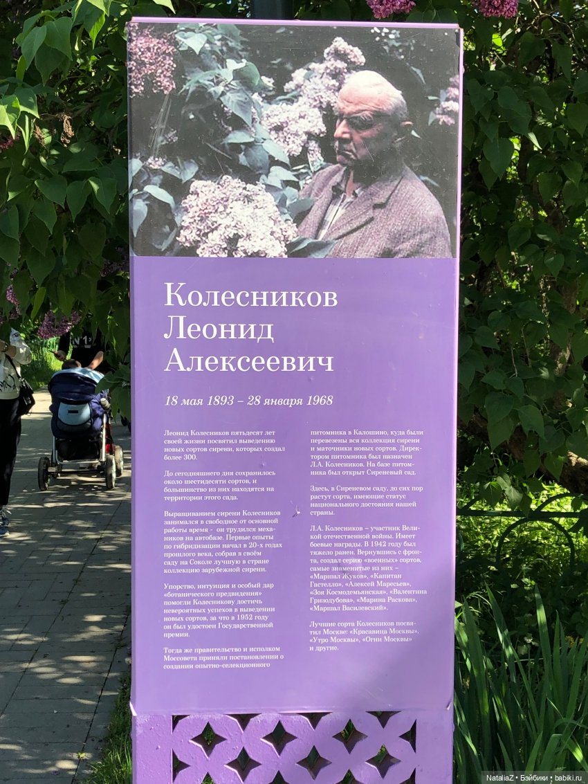 "Ветка сирени" — Туризм и путешествия: фотоотчеты из поездок