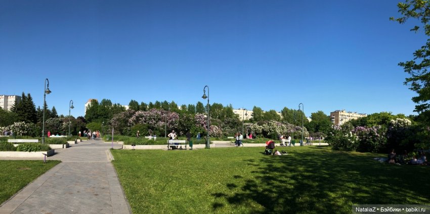 "Ветка сирени" — Туризм и путешествия: фотоотчеты из поездок (фото 6)