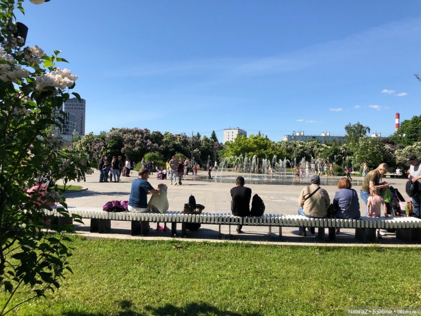 "Ветка сирени" — Туризм и путешествия: фотоотчеты из поездок