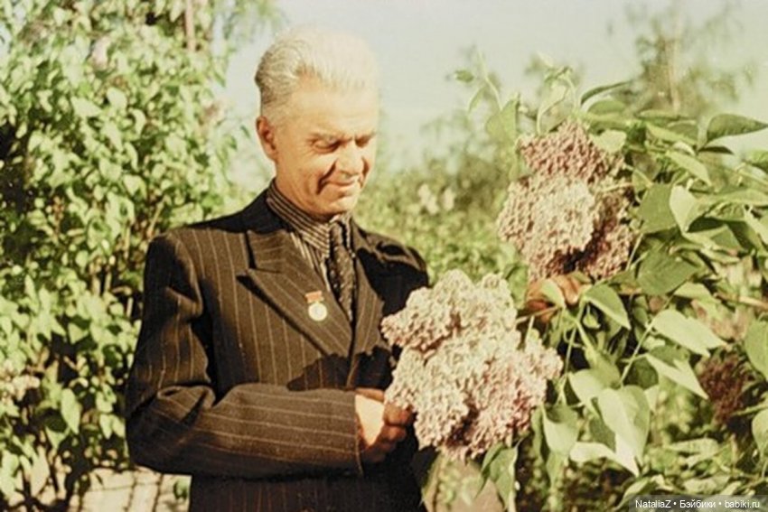 "Ветка сирени" — Туризм и путешествия: фотоотчеты из поездок