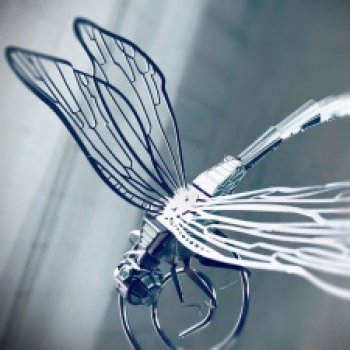 "Механическая стрекоза"