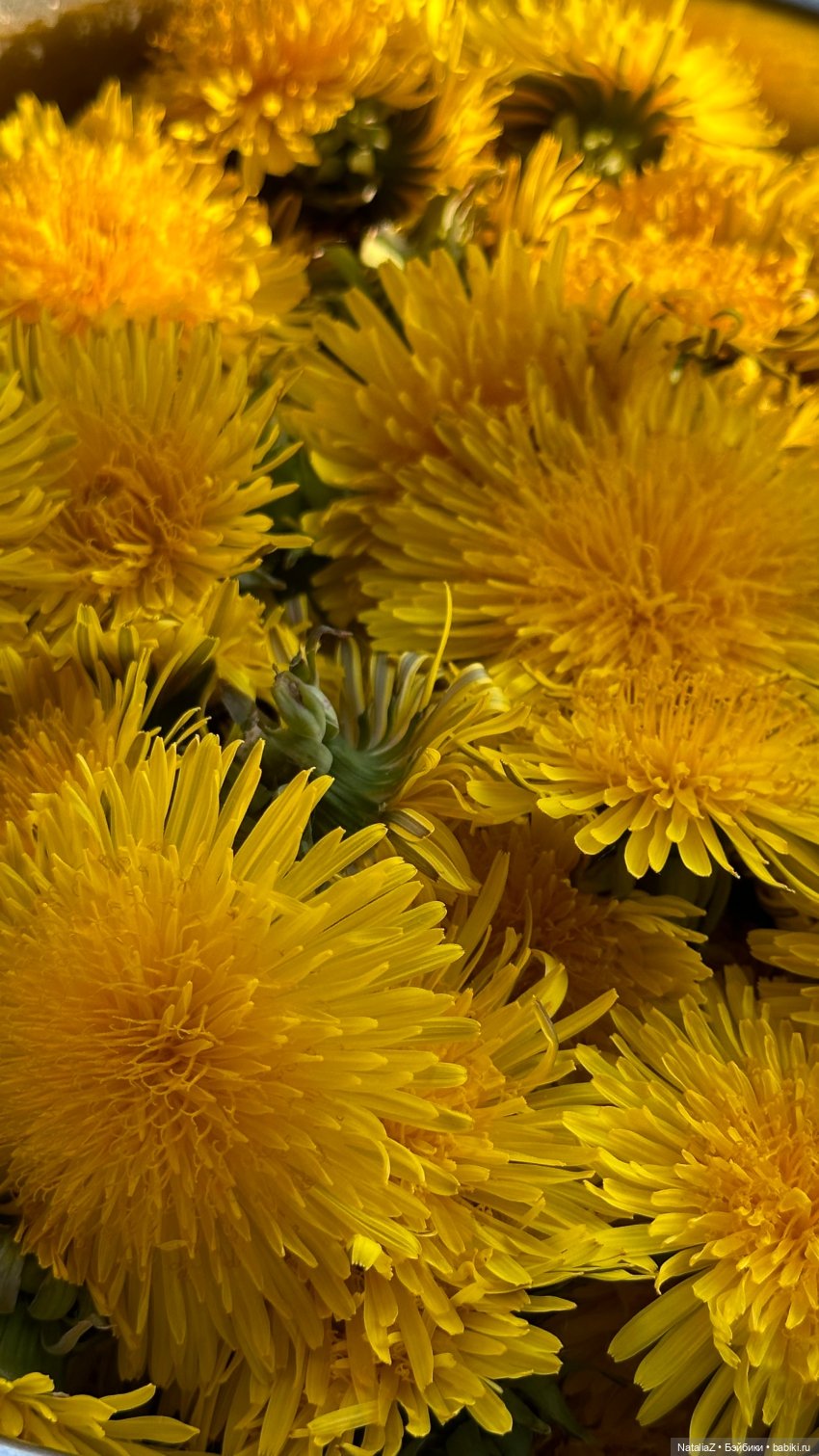 Сейдж (часть 2) 🌾 — Куклы Ruby Red (Руби Ред) Fashion Friends: Siblies (фото 10)