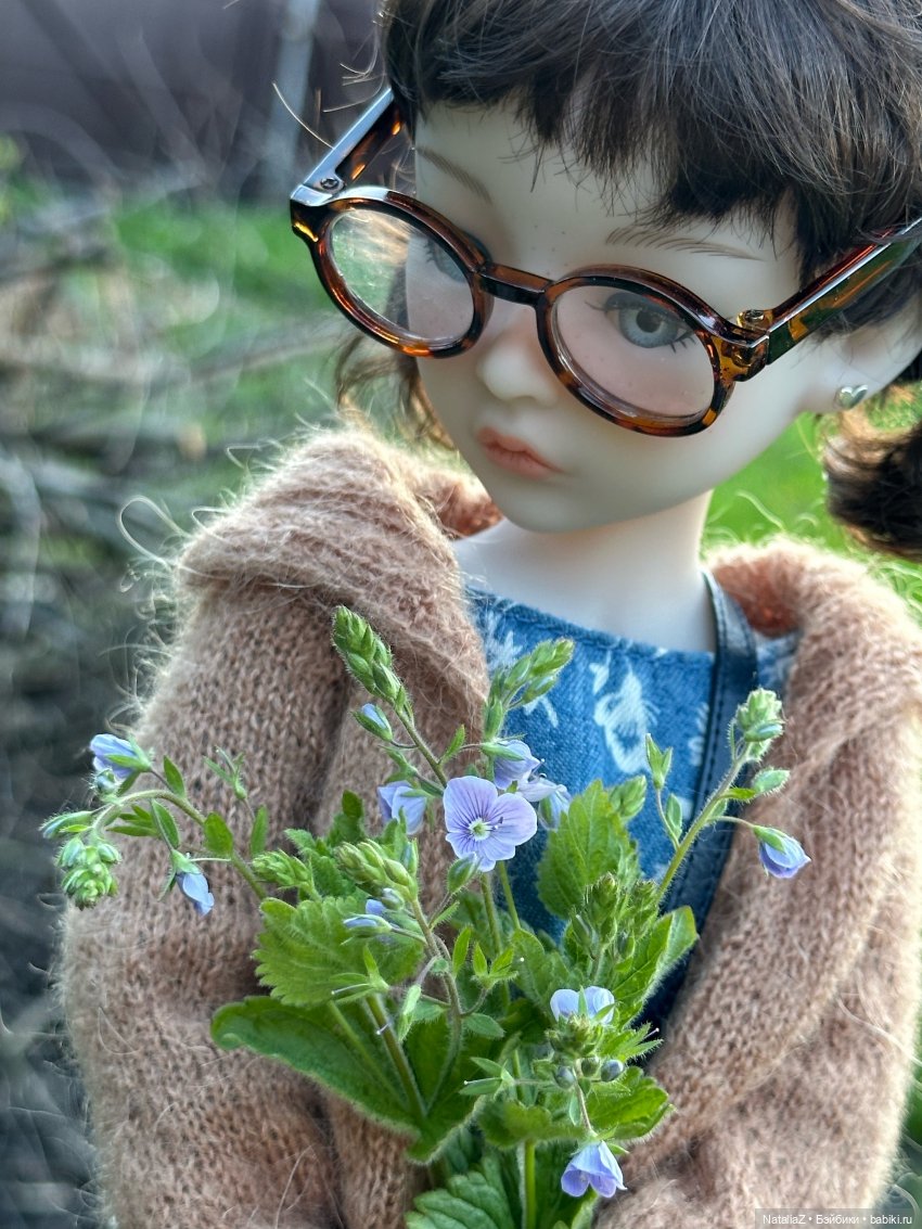 Сейдж (часть 2) 🌾 — Куклы Ruby Red (Руби Ред) Fashion Friends: Siblies