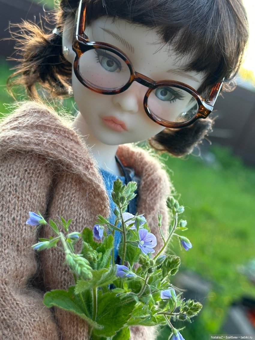 Сейдж (часть 2) 🌾 — Куклы Ruby Red (Руби Ред) Fashion Friends: Siblies