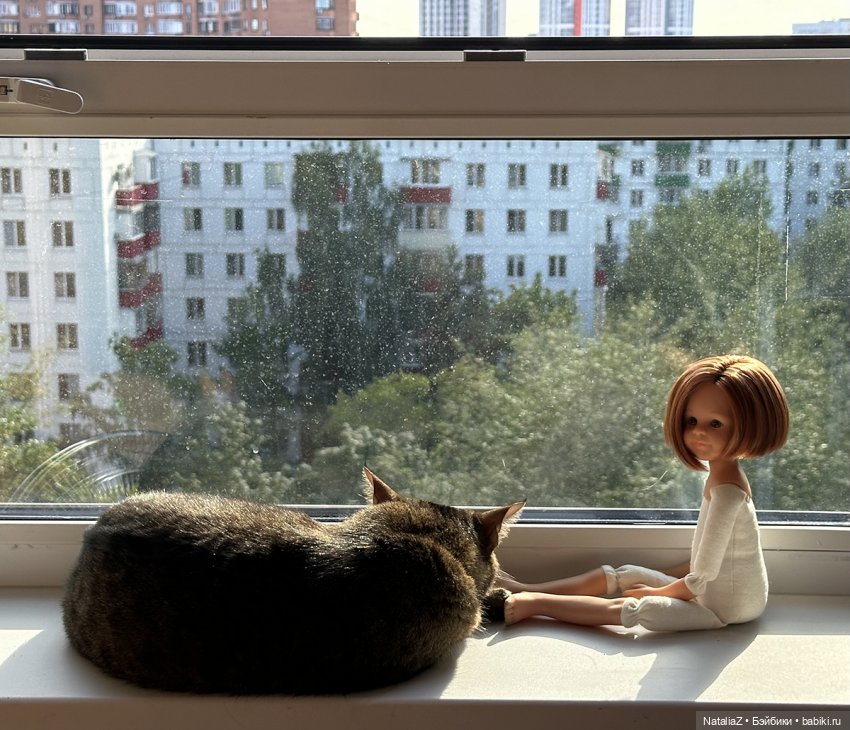"Потихоньки" 🙃 — Коллекции игровых кукол (Playline): фото полок