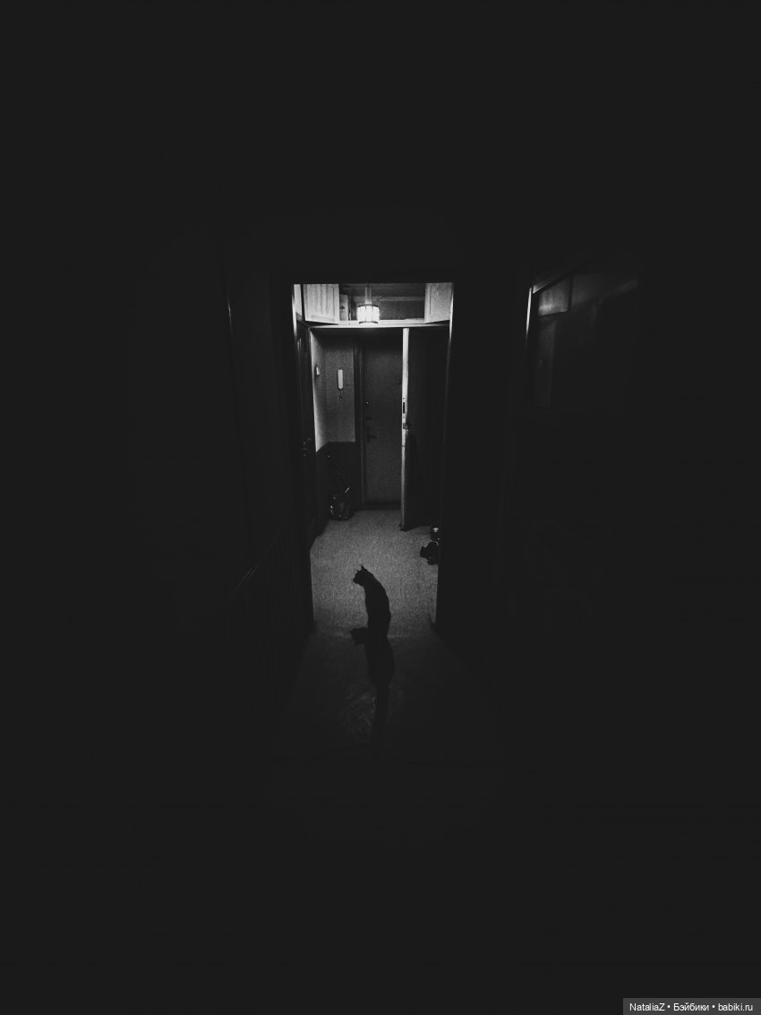 "Потихоньки" 🙃 — Коллекции игровых кукол (Playline): фото полок