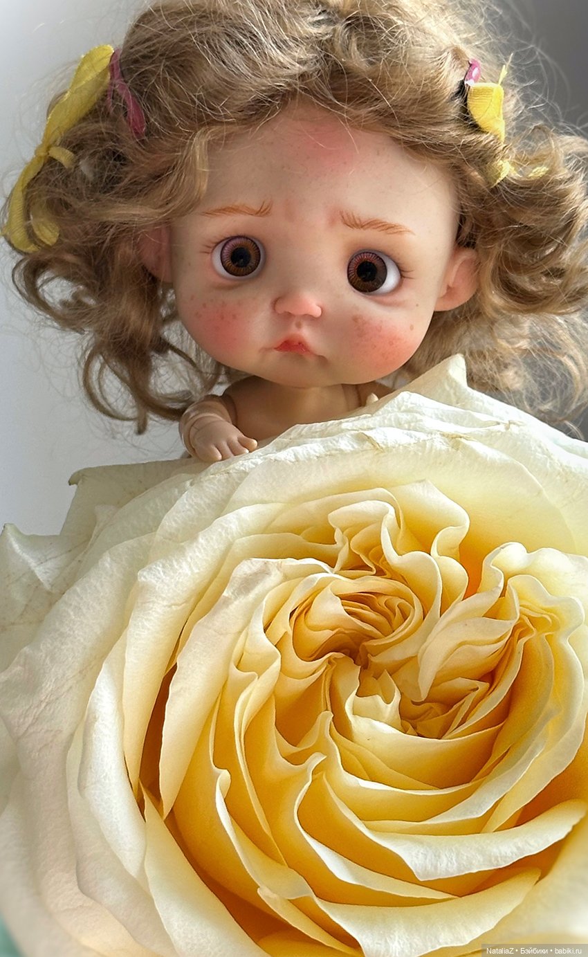 Первая — Куклы и тела Obitsu 11 (Ob11): гибриды