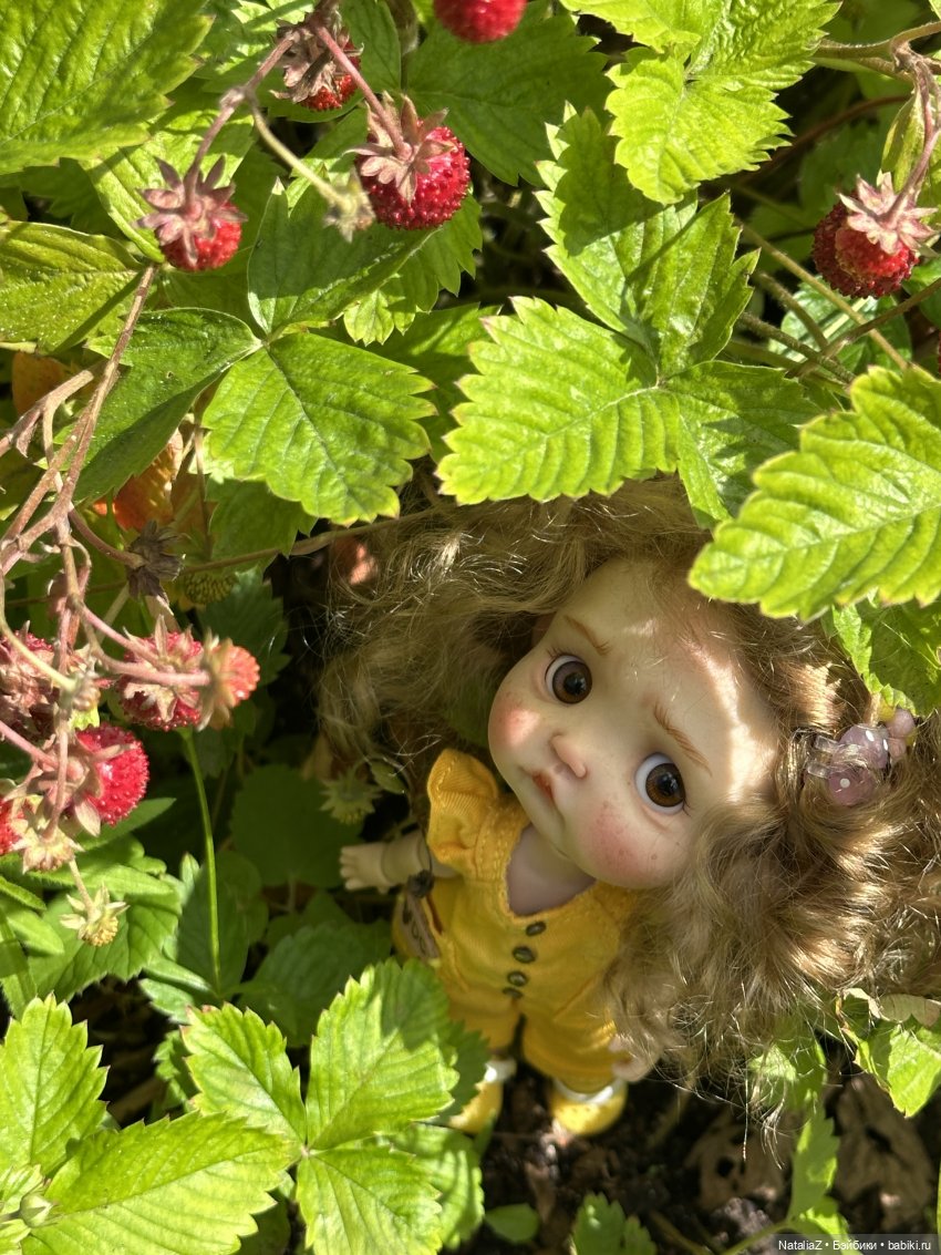Пончик и лето 🍓🍓🍓 — Куклы и тела Obitsu 11 (Ob11): гибриды