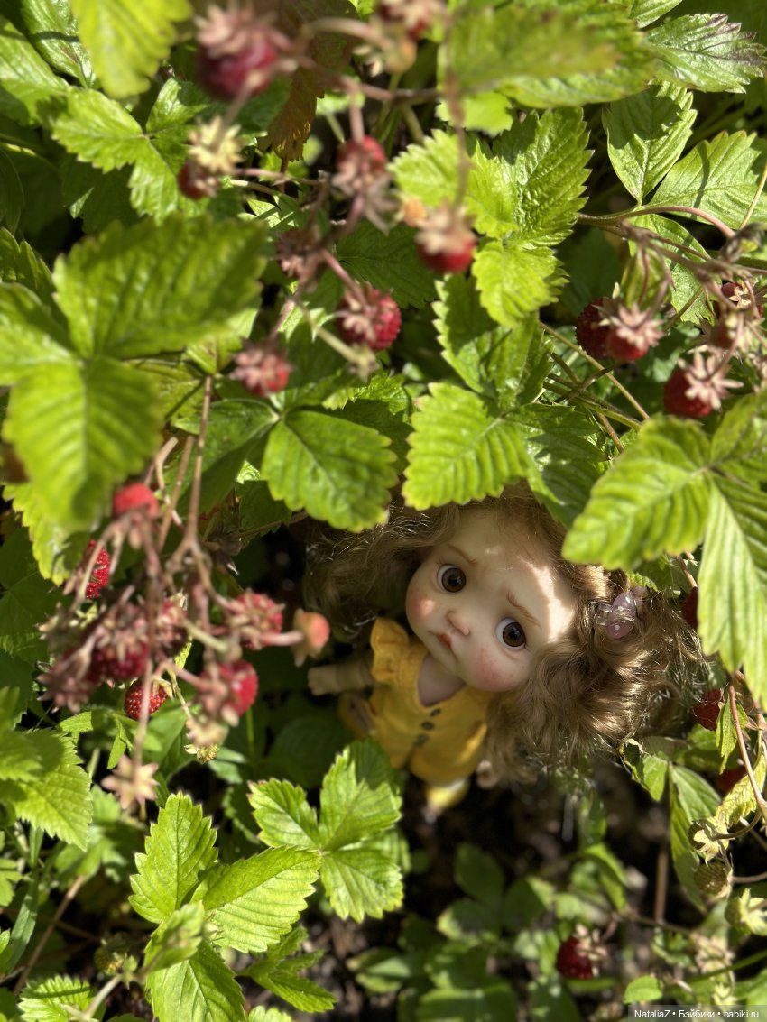 Пончик и лето 🍓🍓🍓 — Куклы и тела Obitsu 11 (Ob11): гибриды