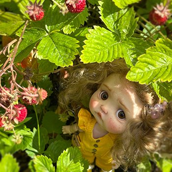 Пончик и лето 🍓🍓🍓