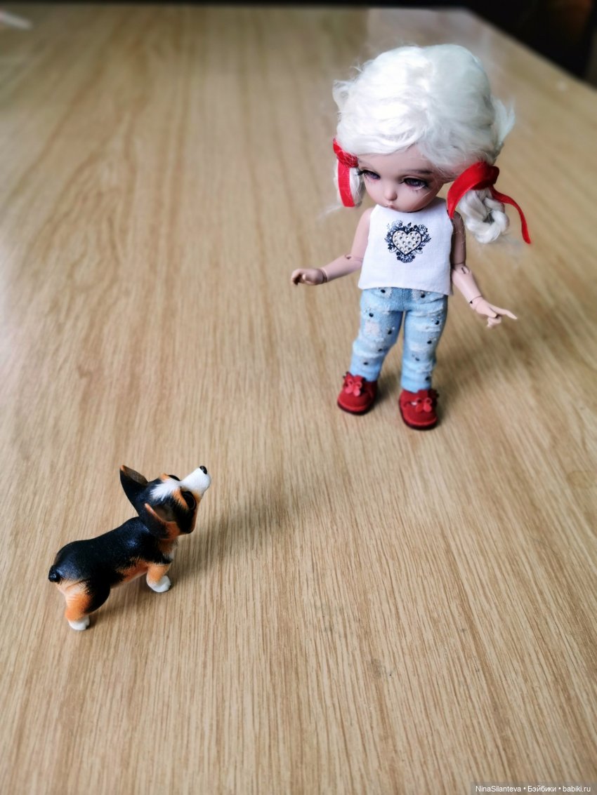 Элли и щенок — Куклы Fairyland (ФэйриЛэнд): BJD (БЖД) (фото 4)