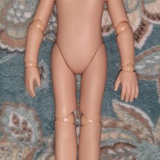 Шарнирное тело Паола Рейна