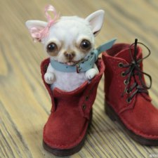 Мой помощник