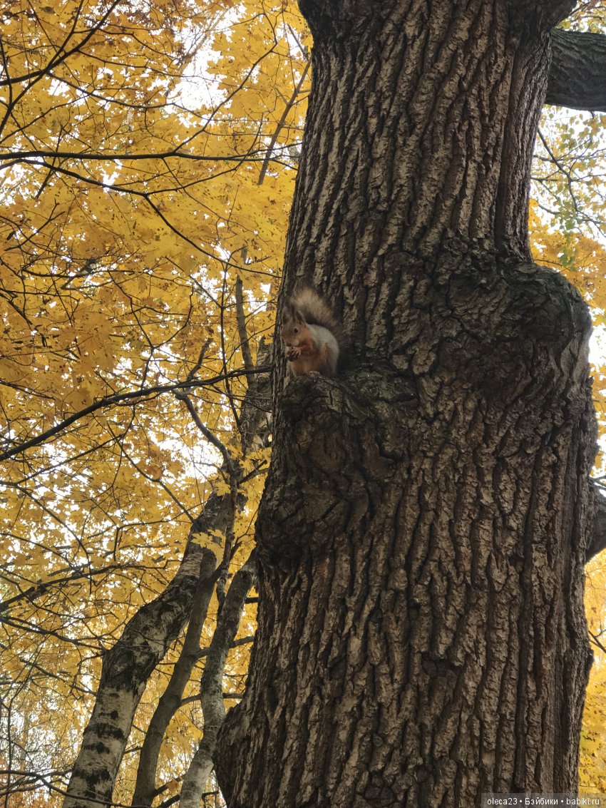 Настроение осень — Куклы Gotz (Готц): Ханна (фото 10)