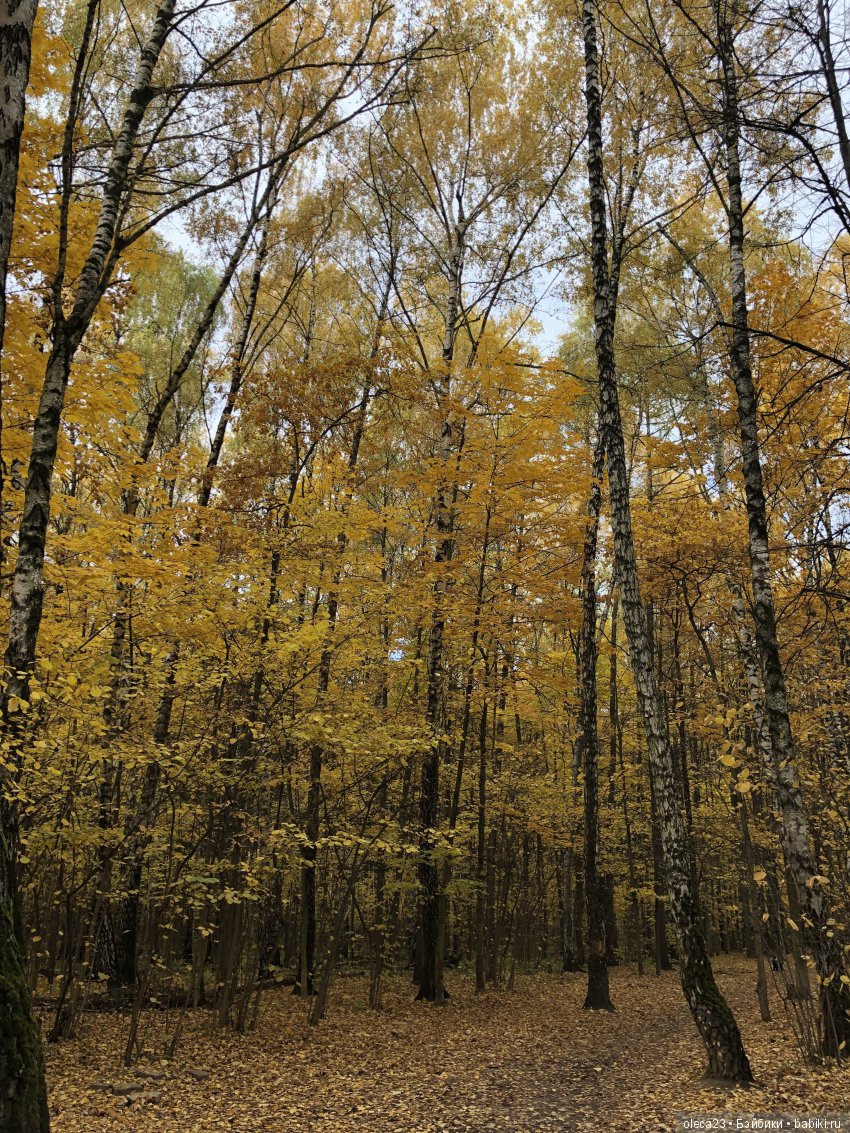 Настроение осень — Куклы Gotz (Готц): Ханна