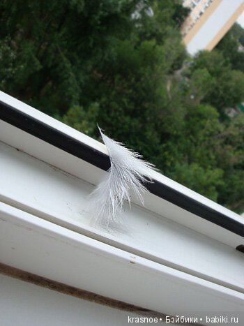 Крылья для ангела. Alice - Resident Evil: Afterlife movie. 1/6 от Hot Toys