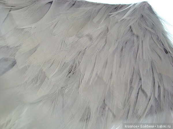 Крылья для ангела. Alice - Resident Evil: Afterlife movie. 1/6 от Hot Toys (фото 2)