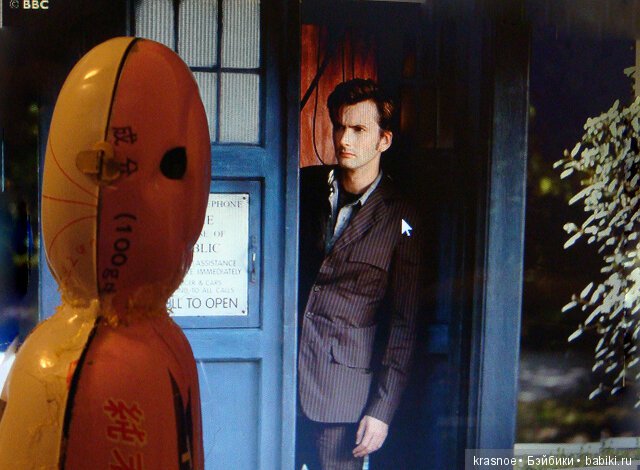 Заводной боксер. Истории нашего дома (фото 4)