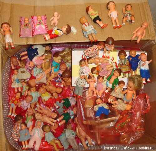 59 пупсов ради одного. Истории нашего дома