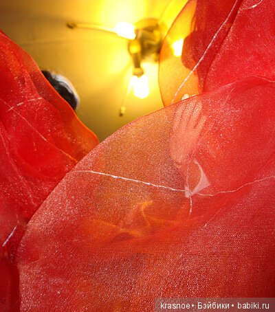 Вляпаться на ровном месте? У нас это запросто! Истории нашего дома (фото 5)