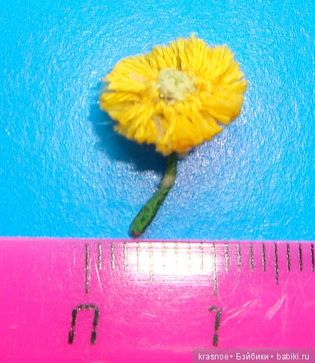 Миниатюра своими руками. Мои шелковые цветы