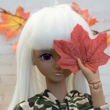 Тёмная Звезда. Новая в семье