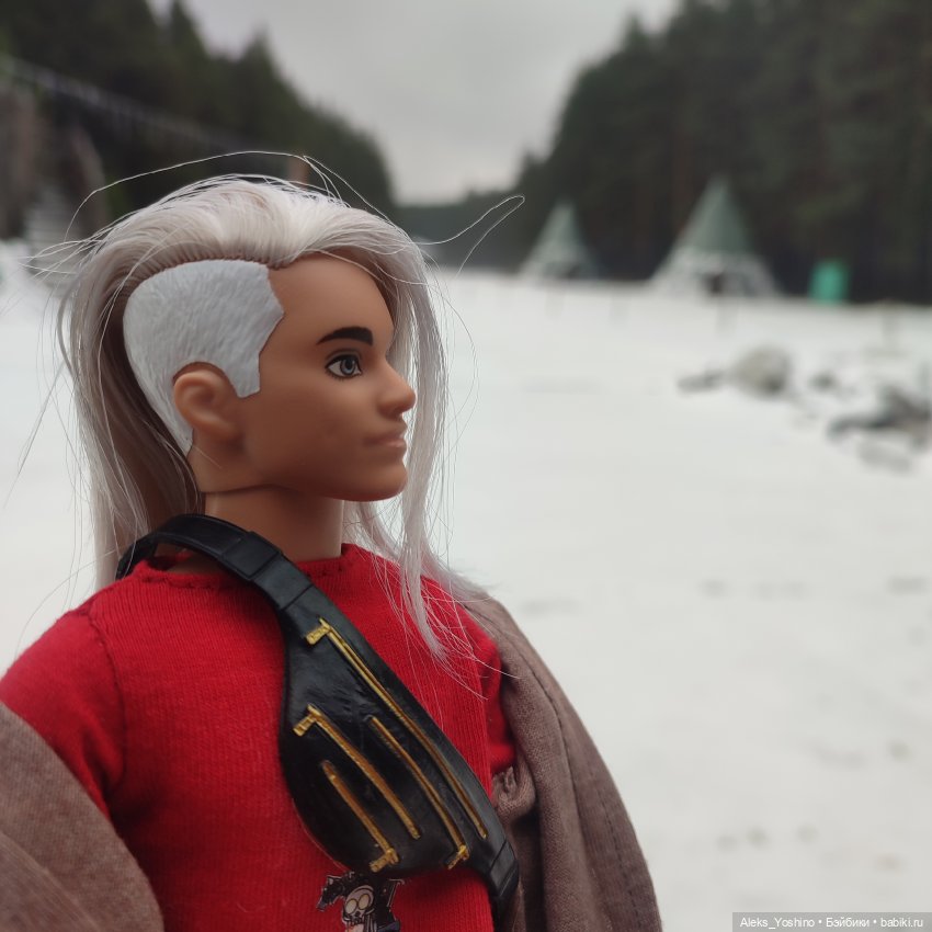 Поездка к диким птицам — Куклы Barbie (Барби): Looks (фото 5)